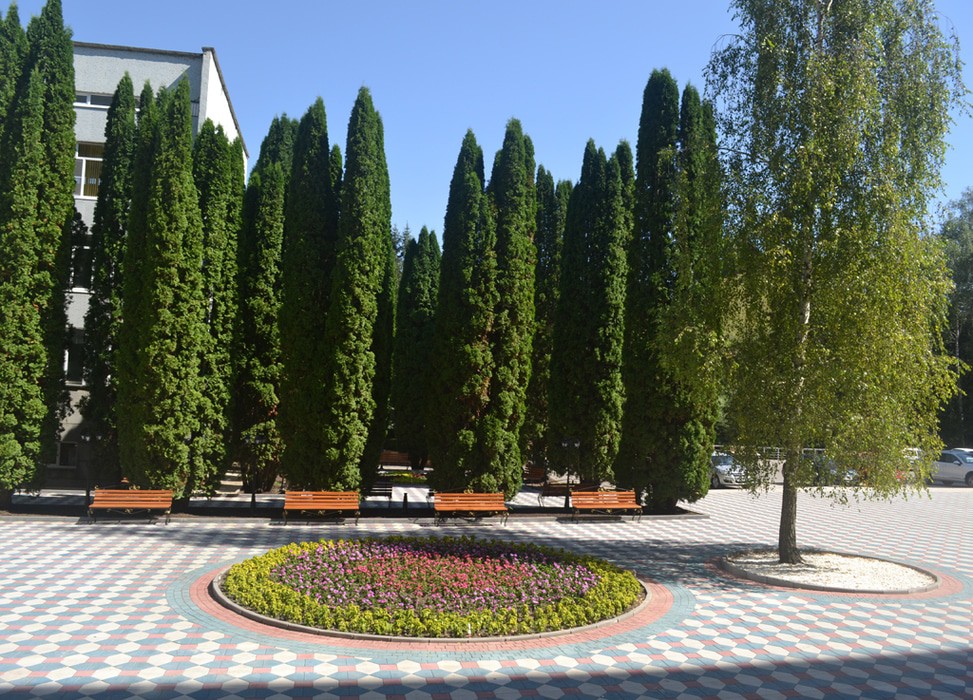 Родник (Кисловодск)