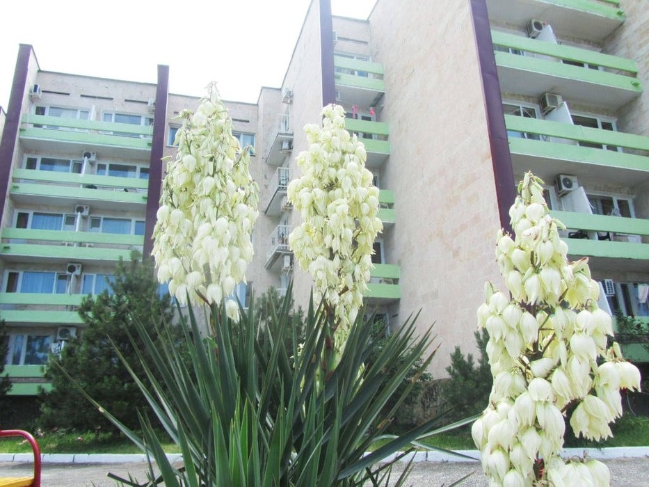 Приморский Кабардинка