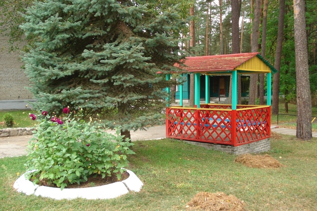 Лётцы