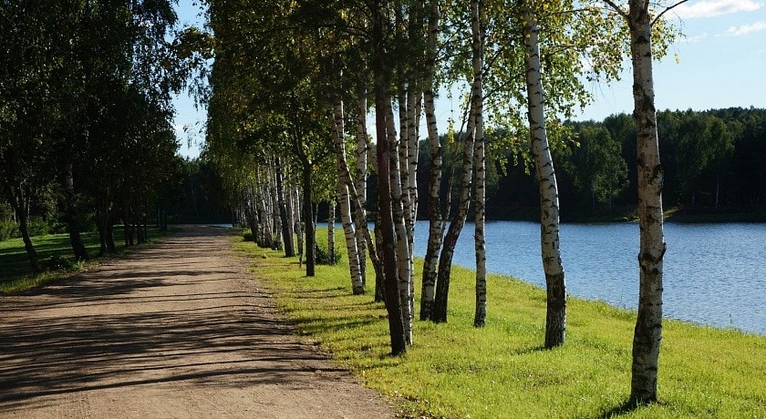 Сосновый бор РБ