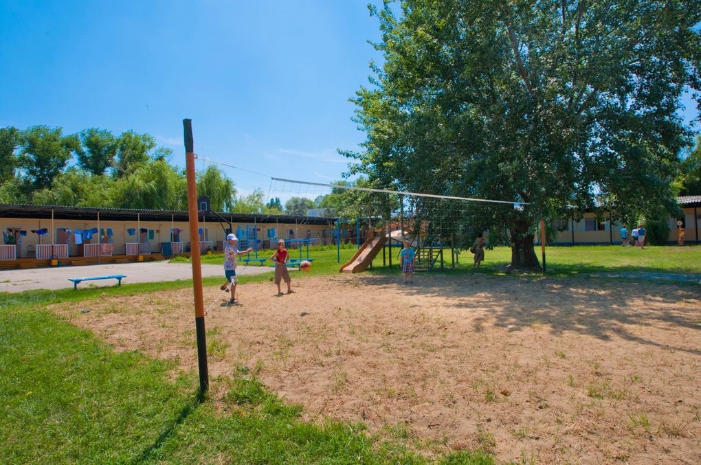 Дельфин (Анапа)