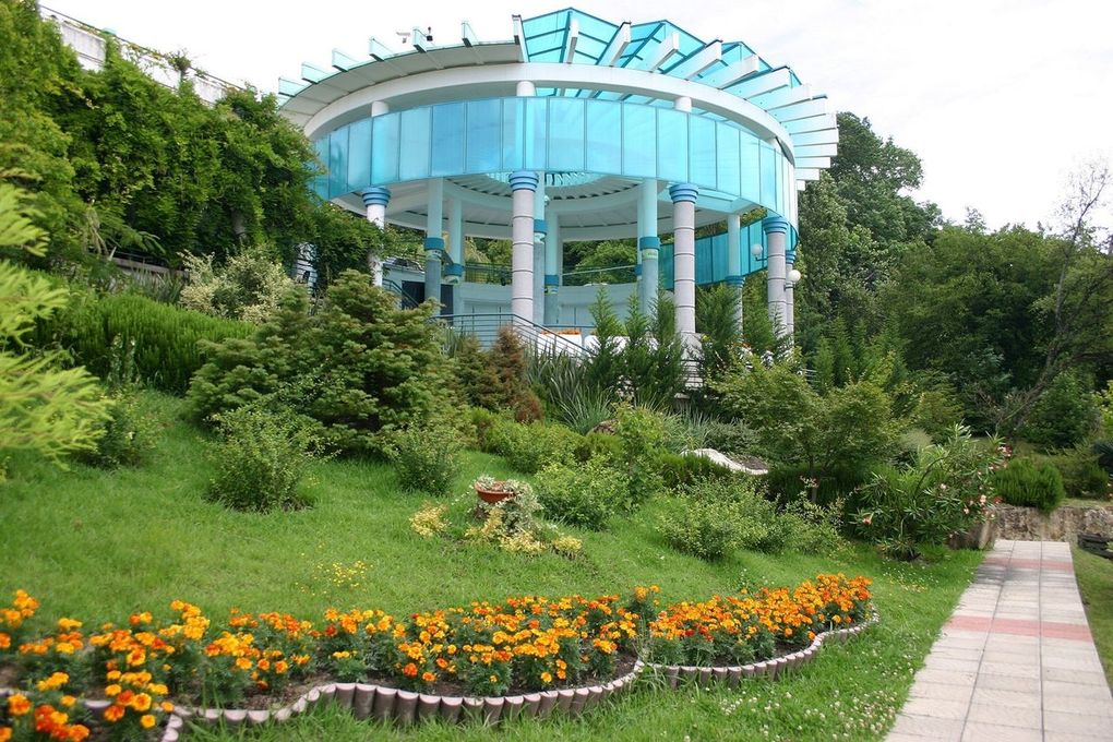 AZIMUT Здоровье Ивушка