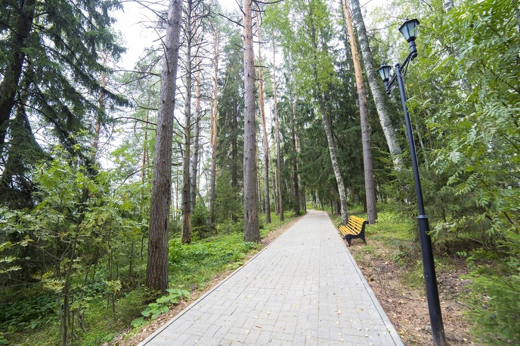 Серебряный плёс