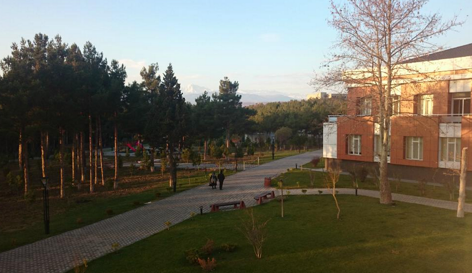 Chinar 5*