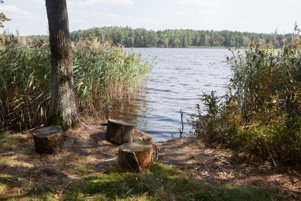 Берестье