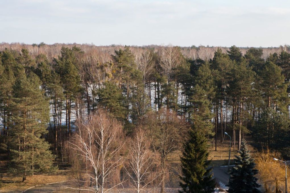 Берестье