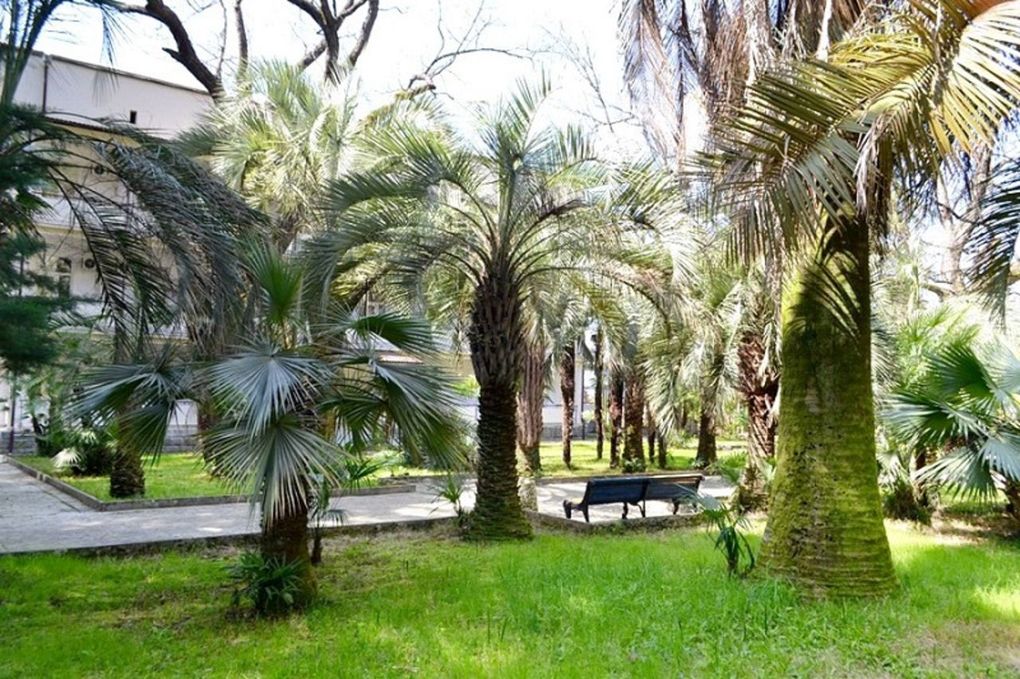 Amra Park-Hotel & Spa / Амра Парк-Отель Спа