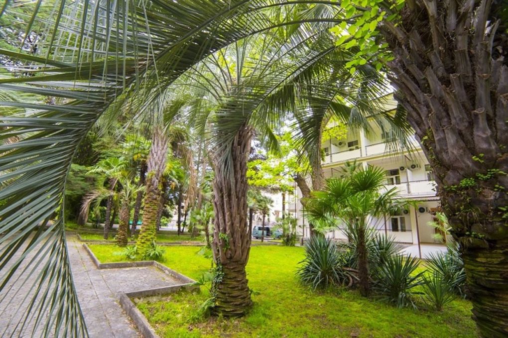 Amra Park-Hotel & Spa / Амра Парк-Отель Спа