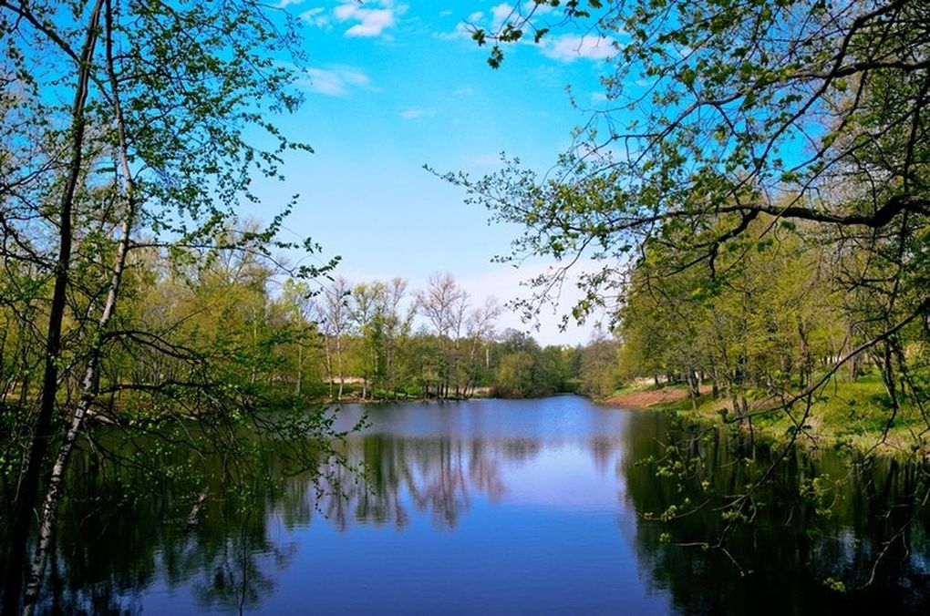 Воздвиженское