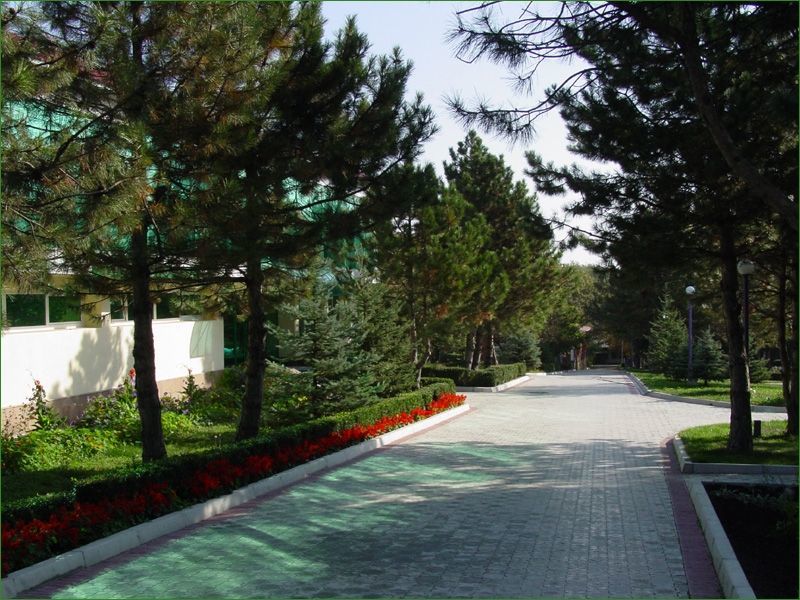 Лесной (КМВ)