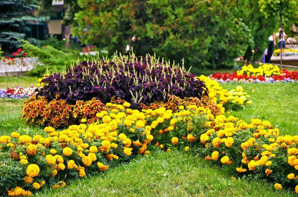 Лесной (КМВ)