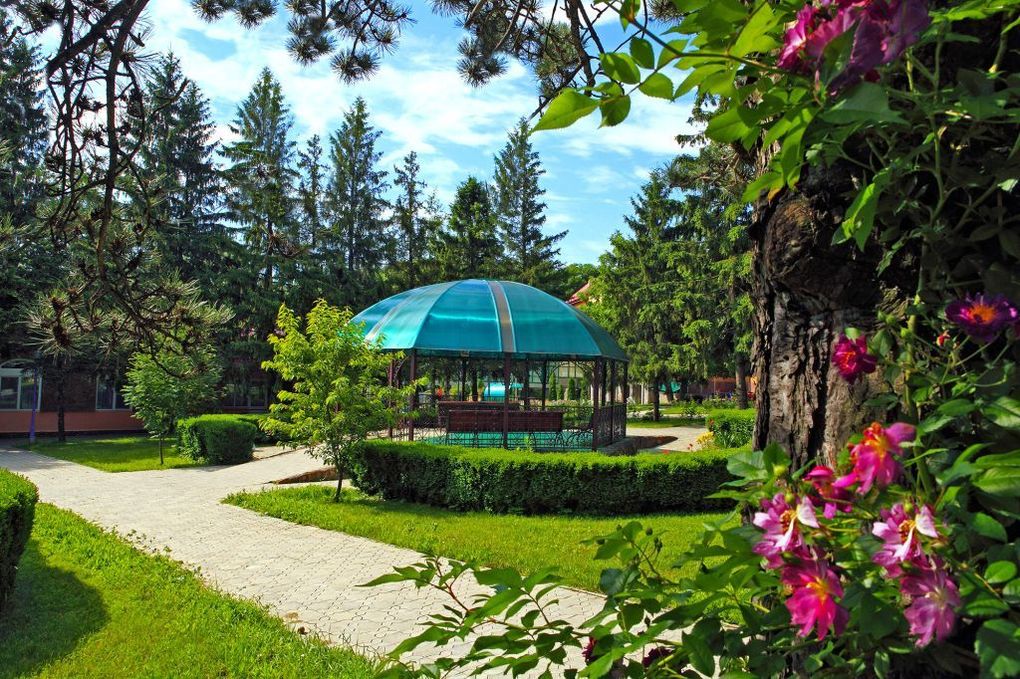 Лесной (КМВ)