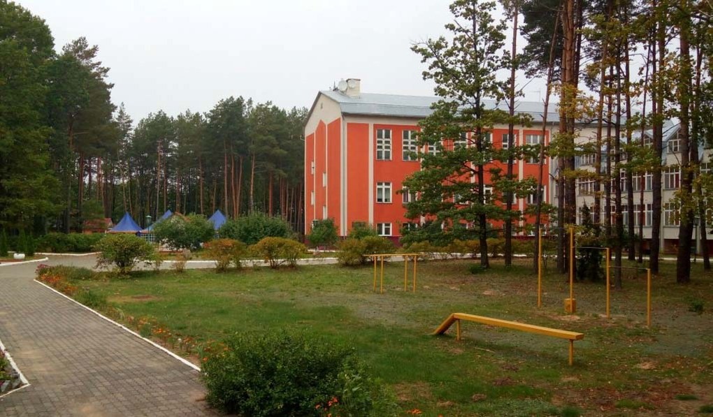 Подъельники