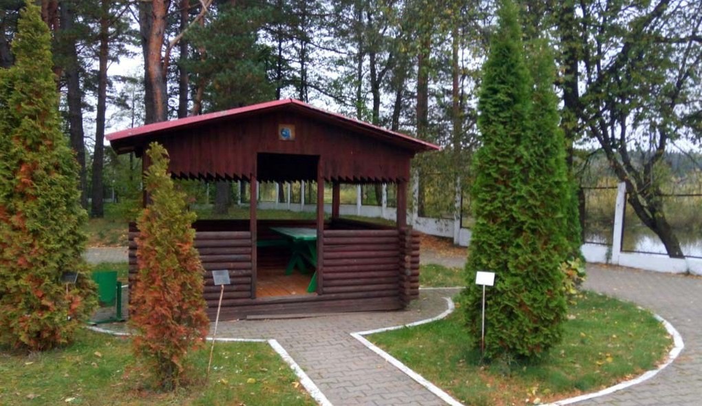 Подъельники
