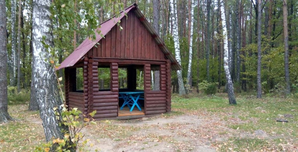 Подъельники