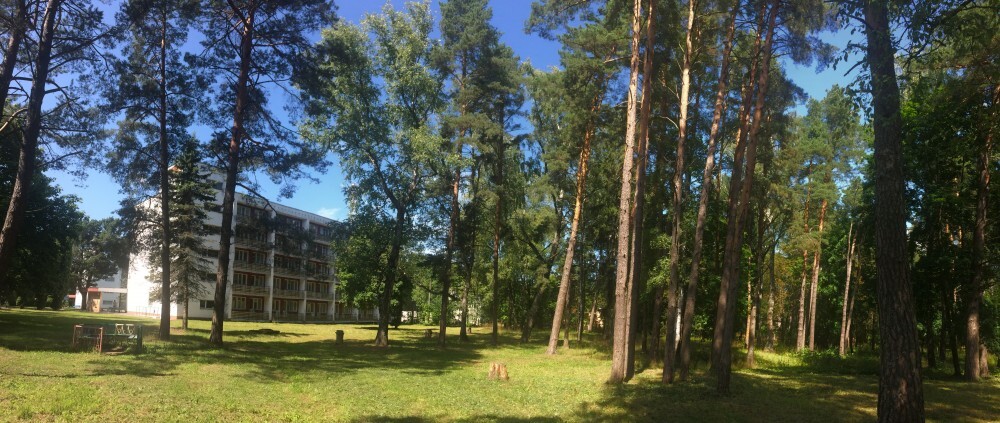 Красный бор