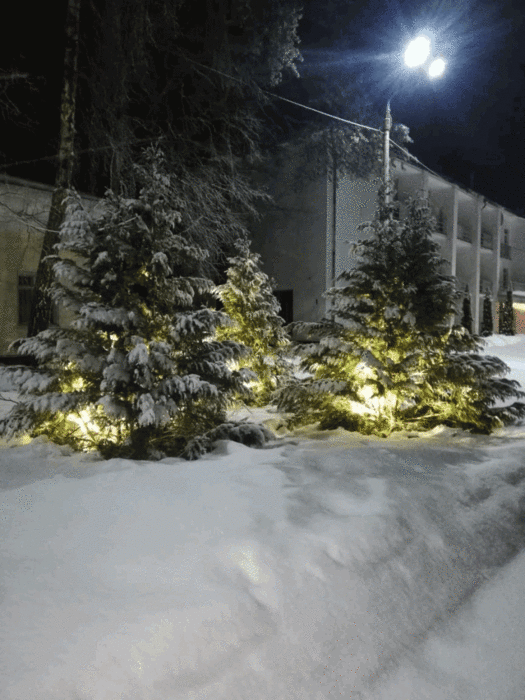 Красный бор