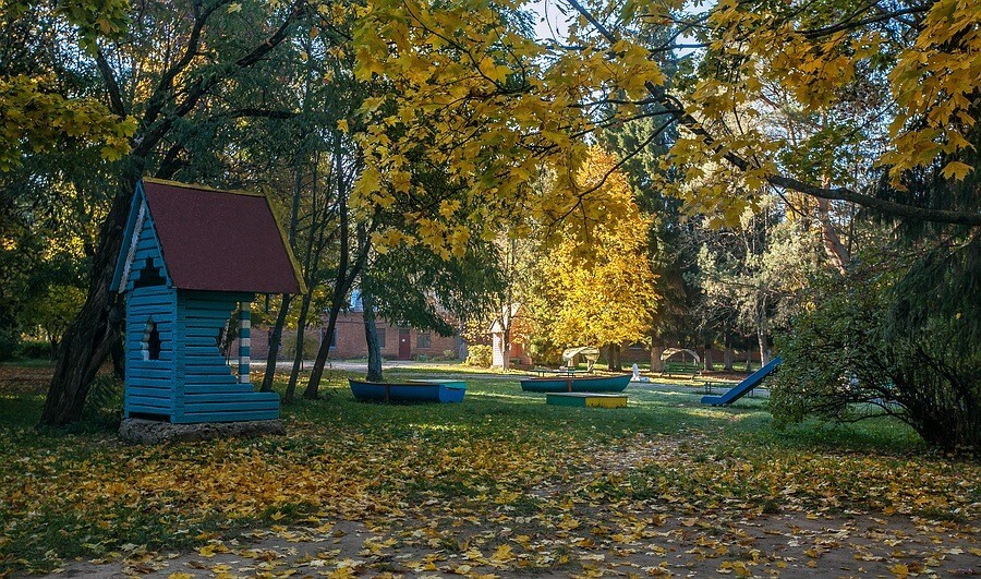 Красный бор