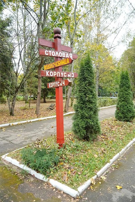 Красный бор