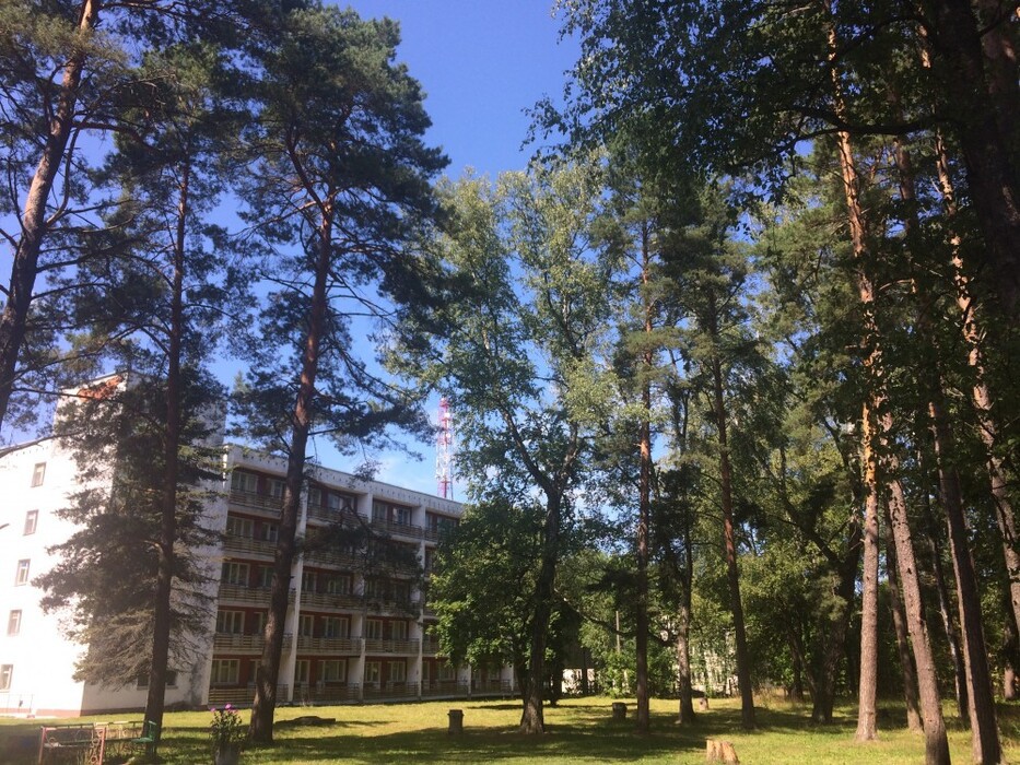 Красный бор