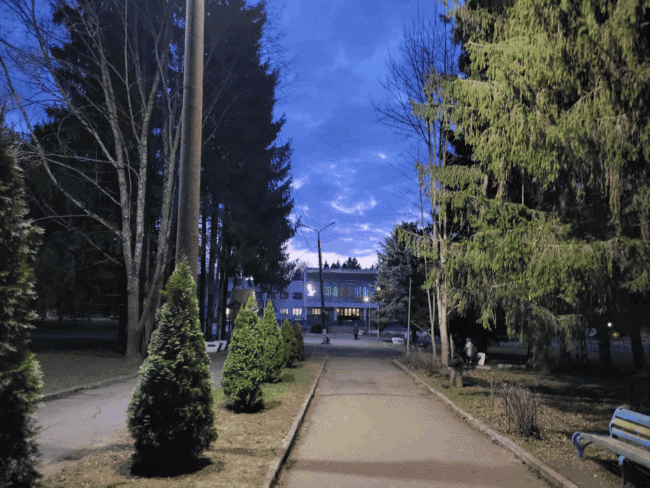 Красный бор
