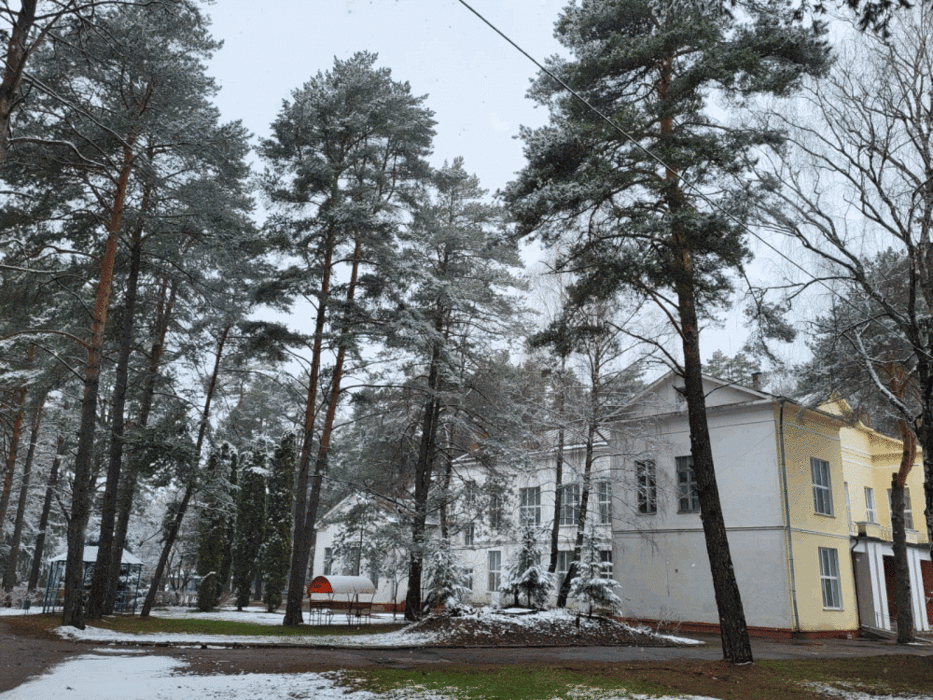Красный бор