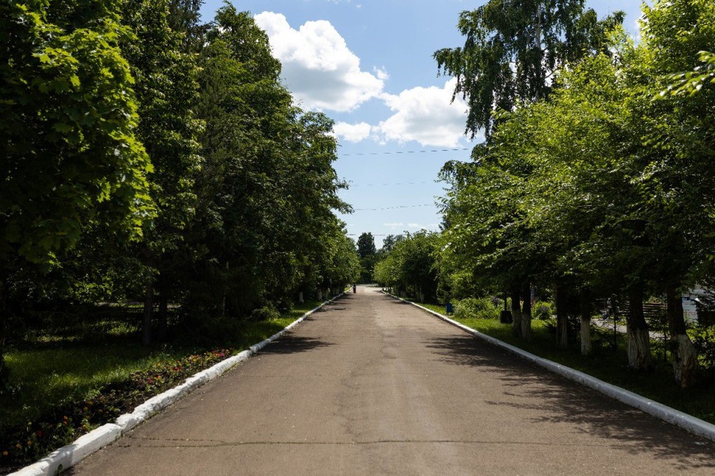 Березки