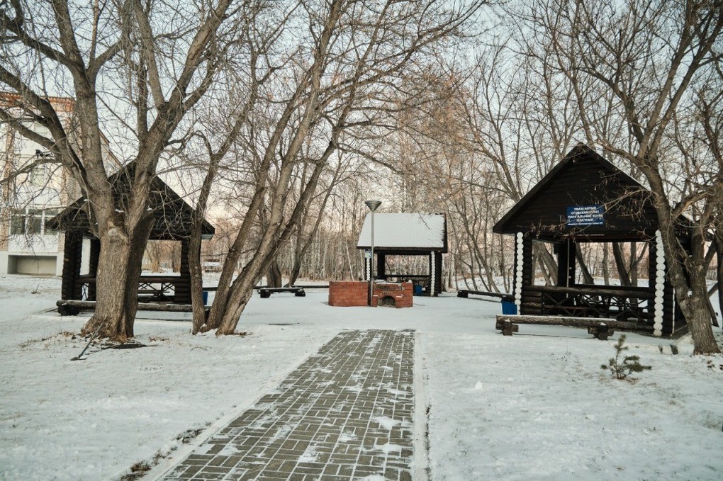 Березки