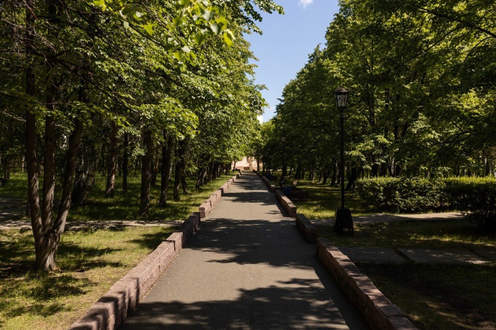 Березки