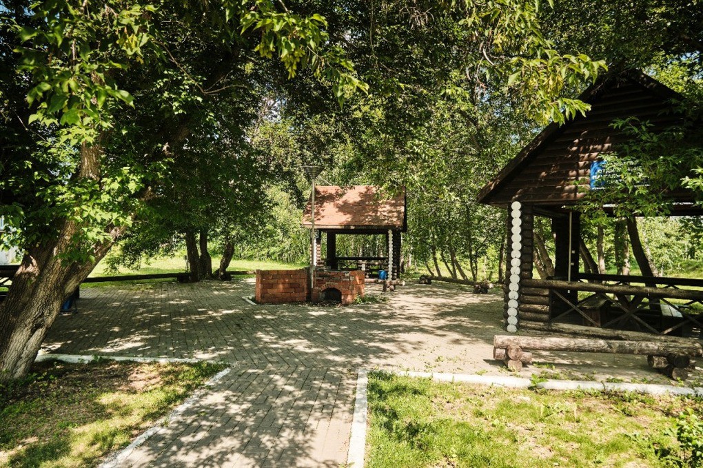 Березки