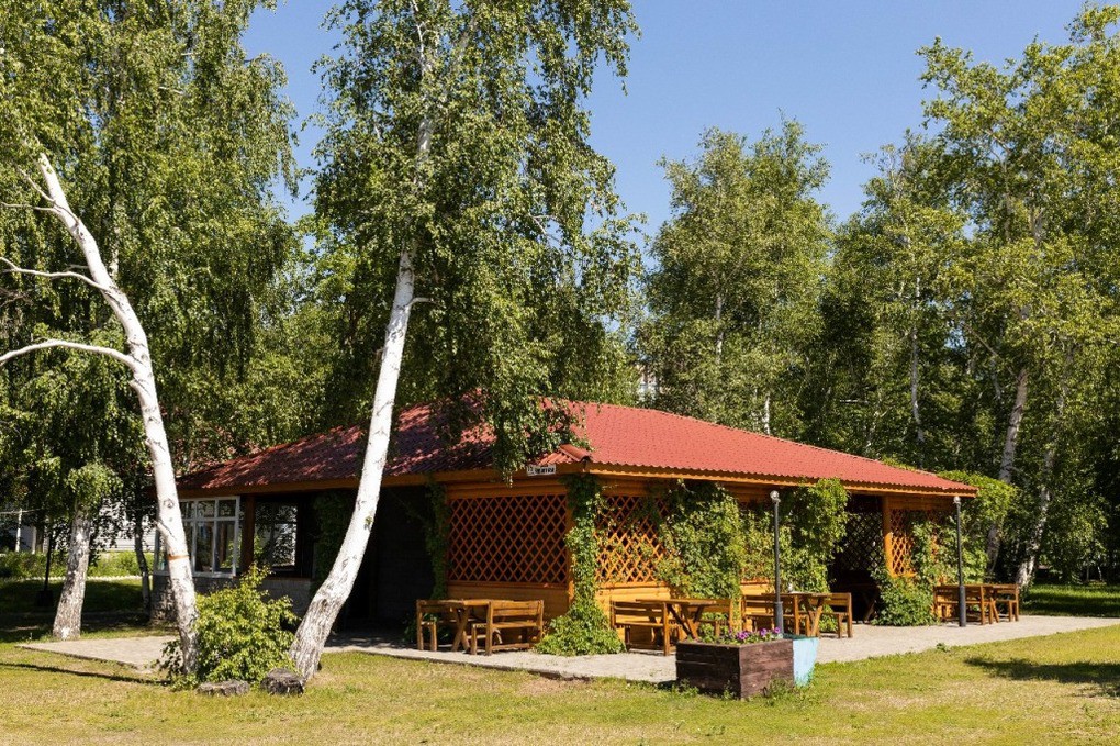 Березки