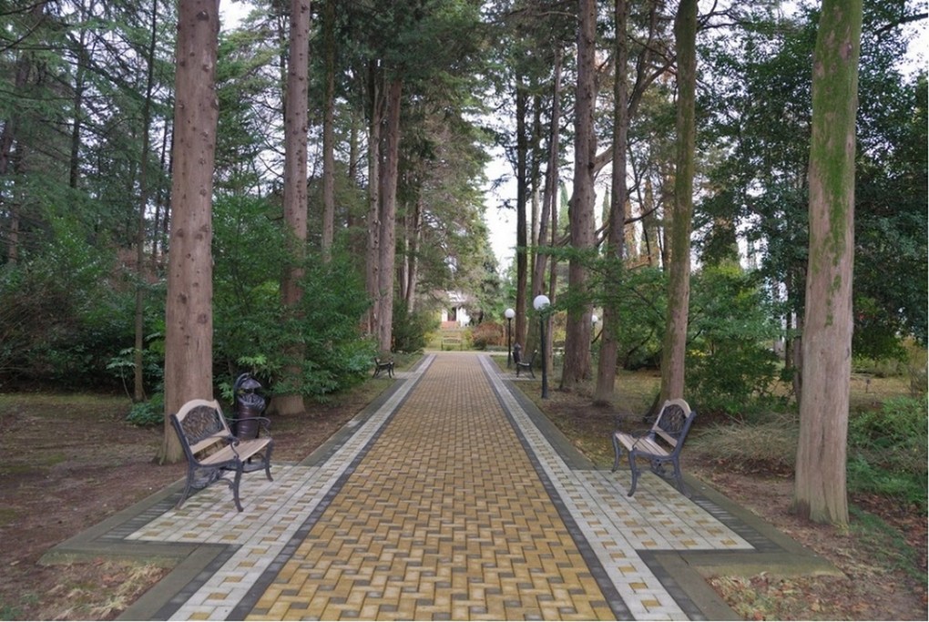 Беларусь УДП РБ (Сочи)